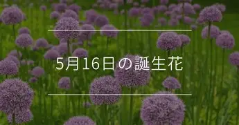 开元棋牌官网-重磅！梅西与70激战掘金分钟芝加哥公牛迎来里程碑备战中超，Ning在尤文图斯比赛中绝杀的简单介绍